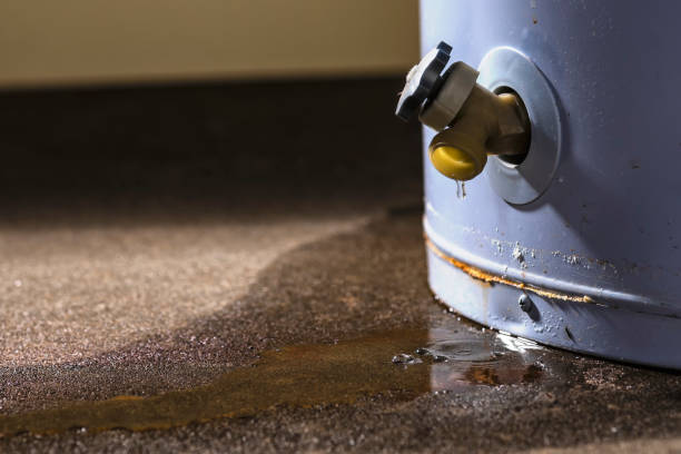 Best Carpet water damage restoration  in Whitemarsh Island, GA