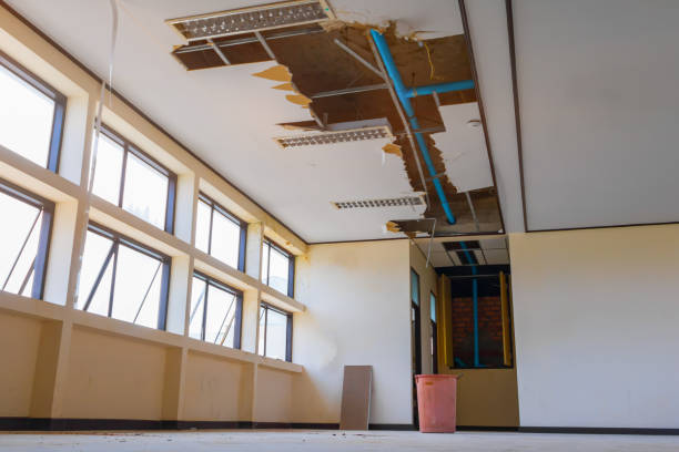 Best Water damage contractors near me  in Whitemarsh Island, GA
