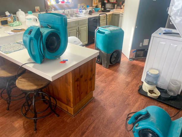 Best Emergency water extraction  in Whitemarsh Island, GA