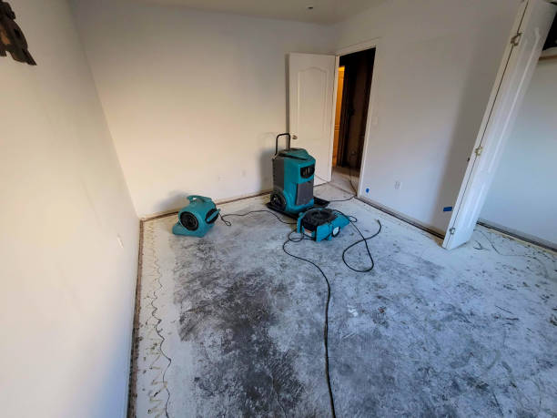 Best Sewage cleanup and water damage restoration  in Whitemarsh Island, GA