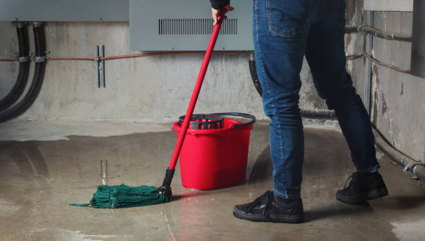 Best Residential water damage restoration  in Whitemarsh Island, GA