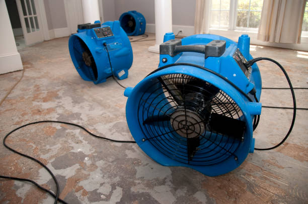 Best Commercial water damage restoration  in Whitemarsh Island, GA