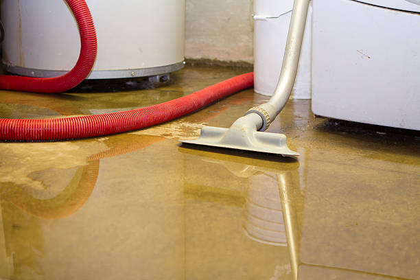 Water damage restoration process in Whitemarsh Island, GA