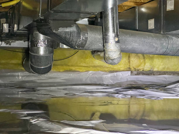 Best Water damage restoration near me  in Whitemarsh Island, GA