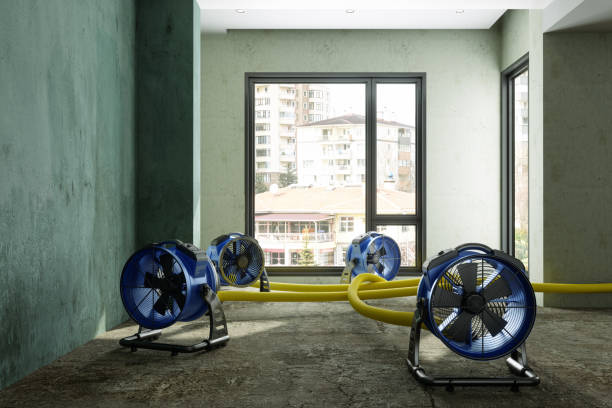 Best Ceiling water damage repair  in Whitemarsh Island, GA